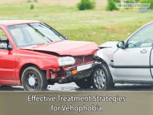 Effective Treatment Strategies for Vehophobia
