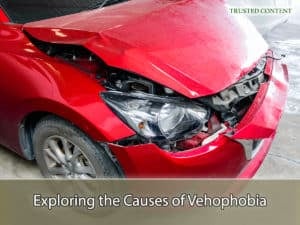 Exploring the Causes of Vehophobia