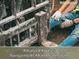Advanced Appeals- Navigating WCAB and State Courts