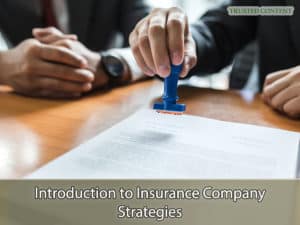 Introduction to Insurance Company Strategies