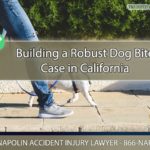 Building a Robust Dog Bite Case in California