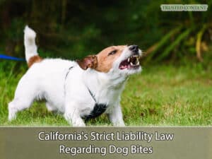 California's Strict Liability Law Regarding Dog Bites