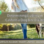 Determining Liability in California Dog Bite Claims