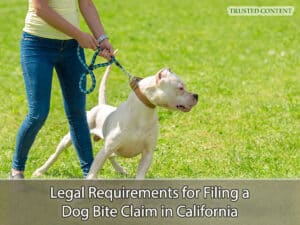 Legal Requirements for Filing a Dog Bite Claim in California